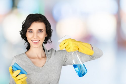 Free carpet cleaning estimate for Hatton customers