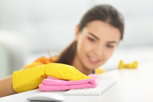 Local pet stain odour removal service in Hatton