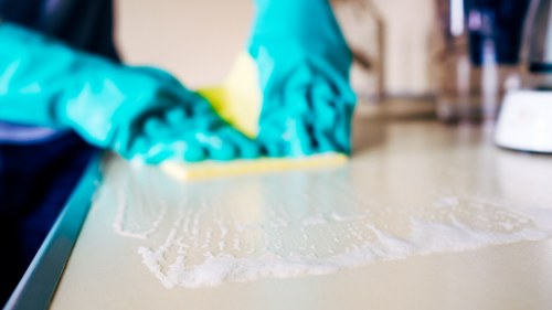 Detailed carpet cleaning process focusing on freshness and preservation